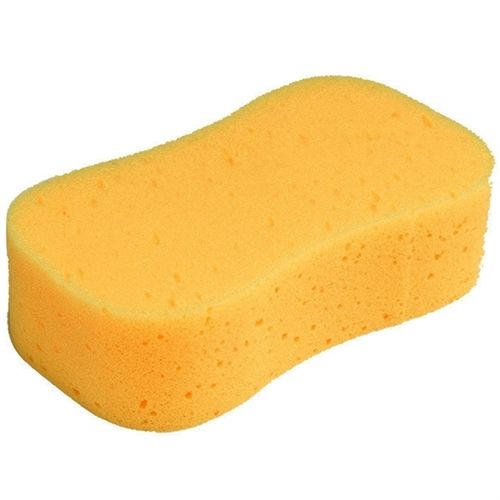 Sponges